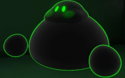 Fanverse Characters (LORE)