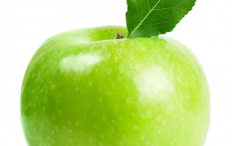 Fruit
