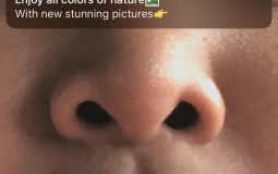 COLLEGE COURSES TIER LIST 1