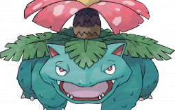 Pokemon Starters