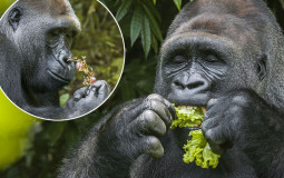 Whos Ass I Could Kick