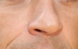 Destiny 2 PvE exotics