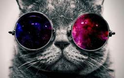 Australian School Subjects