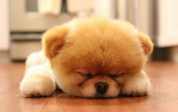 All Characters who defeats the protagonists in Yu gi oh