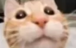 tierlist and dead groovy