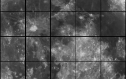 Top Bidon Carlos Ghosn