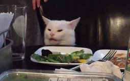 Hermitcraft Media Pirating