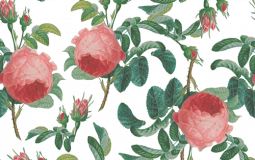 kpop releases 2022 january