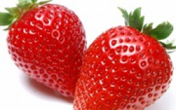 Fruit