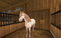 Ranking My SSO Horses