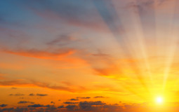 ShadowClan: Battle Champions