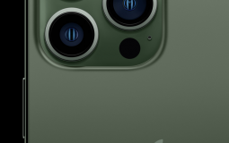 Animal crosing New horizon