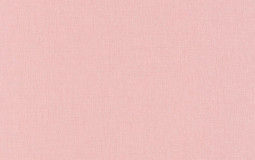 The next step characters