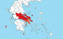 smartphone companies