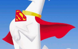 Super Heroes