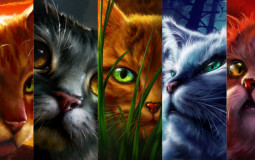 Cats from the Warriors Series