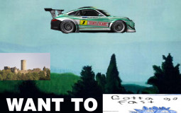 Racing Sims