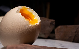 Egg.
