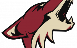 nhl teams
