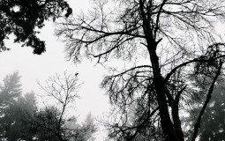 T + K's Horror Movie Tier List