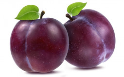fruit