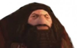 gg