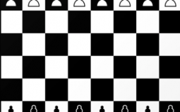 Chess Openings