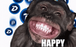 Top 10 Most Racist Gamers in Sin's Server