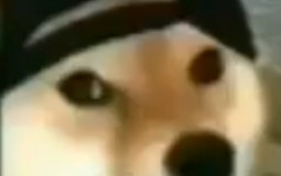 Infernasu server tierlist