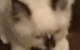 most barbie movies lmao