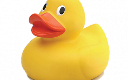 Eeeeeeeeeeeeeeeeeeeeeeeeeeeeeeeeeeeee