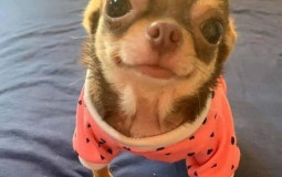 people courtney has *been* with xx