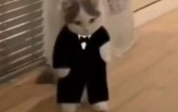 yuh