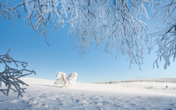 Les hivers