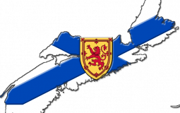 Elementary school classes