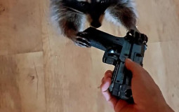 Azly's Bed Tier List