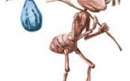 energeticas
