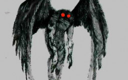 gender envy teir list