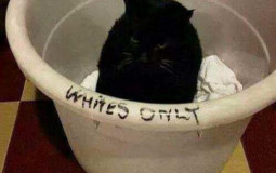 Bad -isms