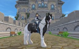 My SSO Horses