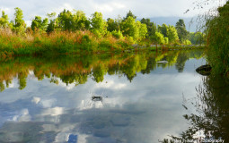 soul knight persons skils