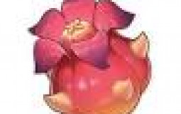 Genshin regional material