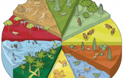 Tribe Game Characters~