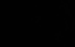 Il signore degli anelli