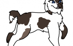 Warrior cats Ocs! (Spruceclan and more!)