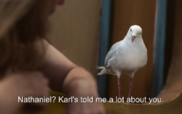 Our Flag Means Death