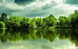 favorite place with the homies