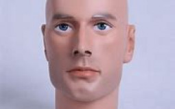 Meilleures Parties Du Corps