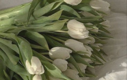 popular books I've read