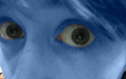 Darkwing Duck Villains